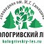 Заповедник "Кологривский лес"
