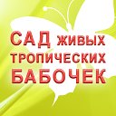 Выставка живых тропических бабочек