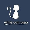 Белый Кот Россия
