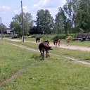 Село Таежно-Александровка