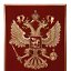 РОССИЯ  - официальная группа