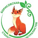 Борисовская станция юных натуралистов