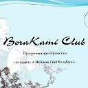 Встреча Wellness Club Borakami