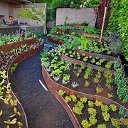 Лучшие идеи для сада, дачи и огорода своими руками