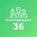 Господдержка36.рф