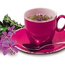 Иван чай (Копорский чай) - (Tea Health)Гродно