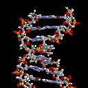 ДНК-Генеалогия - история, происхождение
