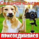 ❤ღツСмешная камера ❤ღツ