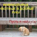 Новосибирск. Животные в добрые руки.