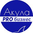 Акула PRO бизнес: маркетинг и продвижение