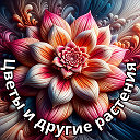 Цветы и другие растения🌹💐🥀🌺