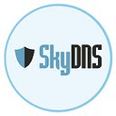 SkyDNS. Делаем интернет безопаснее