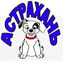 Продажа собак-кошек в Астрахани и Астрах области