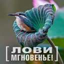 ЛОВИ МГНОВЕНЬЕ!