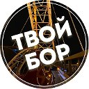 Твой Бор