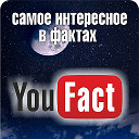 YouFact - самое интересное в фактах