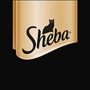 SHEBA Россия