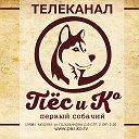 Телеканал «Пёс и Ко»