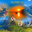 Норвегия для Вас: задаем вопросы, ищем ответы