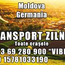 TRANSPORT ZILNIC GERMANIA 069280900-viber