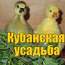 Кубанская усадьба