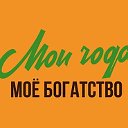 Мои года-моё богатство