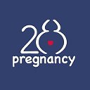 Pregnancy28