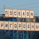 Посёлок Пригородный