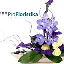 ProFloristika - Товары для флористики