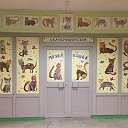 Екатеринбургский музей кошек