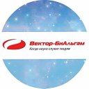 Вектор-БиАльгам