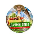 Дачный ответ