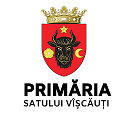 Primăria satului Vîșcăuți