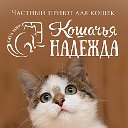 Приют "Кошачья надежда".Коты и кошки в добрые руки