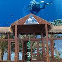 CAMEL DIVE CLUB И ЕГО ДРУЗЬЯ