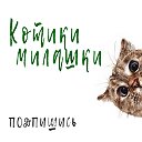 Котики - Милашки