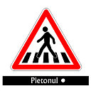 Pietonul •