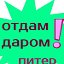 Отдам Даром в Питере. Бесплатно СПБ