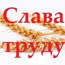 АНО "Редакция газеты "Слава труду"