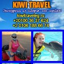 Экскурсии в Египте от KIWI TRAVEL