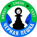 ЧЕРНАЯ ПЕШКА шахматы