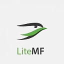 LiteMF. Удобная доставка из США и Германии