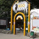 МАУ "Пензенский зоопарк"