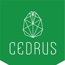 CEDRUS - wooden souvenirs