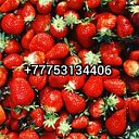 Астана ягоды овощи фрукт Всё для дома Все дачи дом