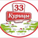 33 КУРИЦЫ КРАСНЫЙ СУЛИН