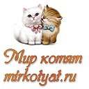 Мир Котят