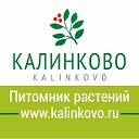 Питомник декоративных растений Калинково