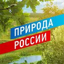 Природа России (2do2go.ru)