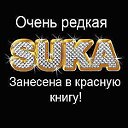 Стерва - Suка - Ведьма - Личность